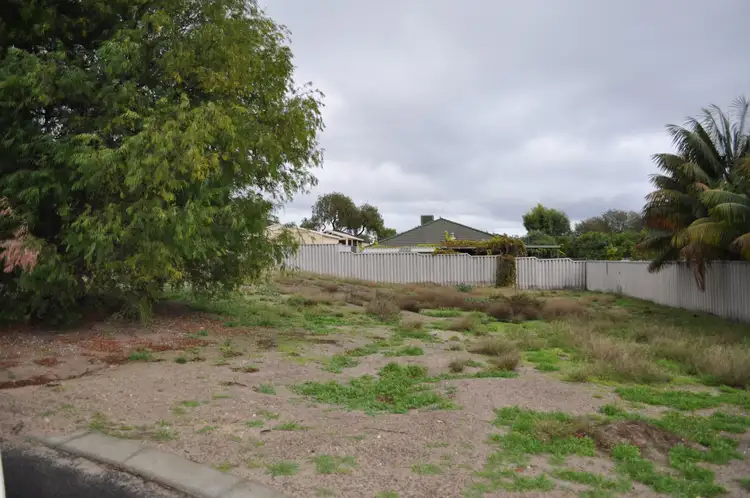 16 Gannet Court, Geographe WA 6280