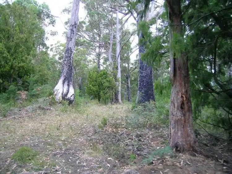 Sixth view of Homely land listing, Hastings Caves Road, Hastings TAS 7109