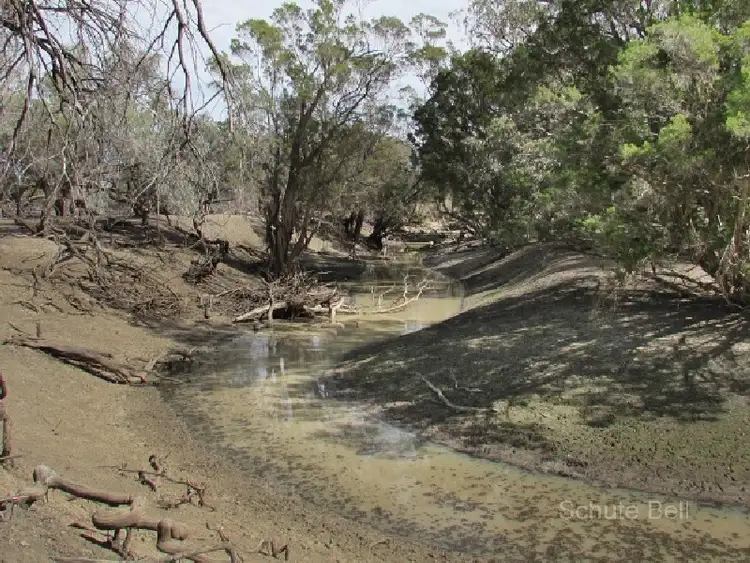 Seventh view of Homely rural property listing, . Westholm, Brewarrina NSW 2839
