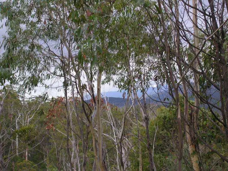 Main view of Homely land listing, Ellendale Road, Westerway TAS 7140
