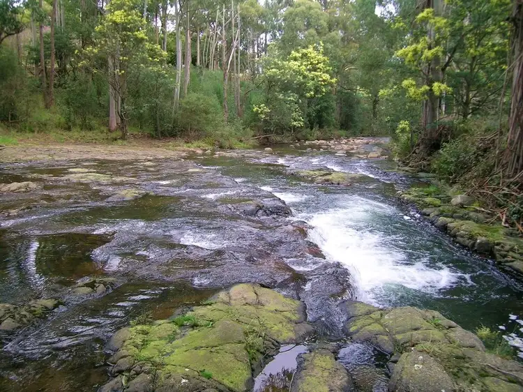 Second view of Homely house listing, 15 Wattle Hill Road, Mountain River TAS 7109