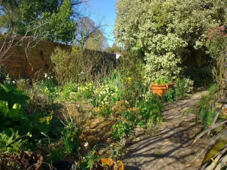 Fourth view of Homely house listing, 19 Fraser Street, Clunes VIC 3370