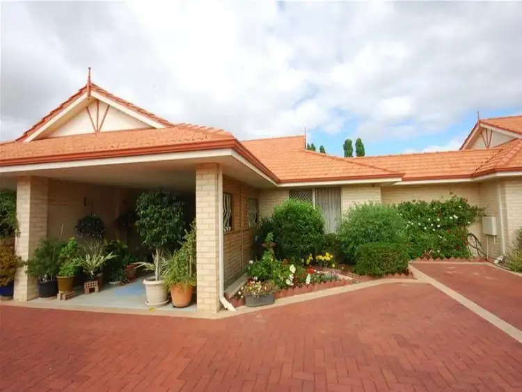 Main view of Homely apartment listing, 5/78 Ford Road, Busselton WA 6280