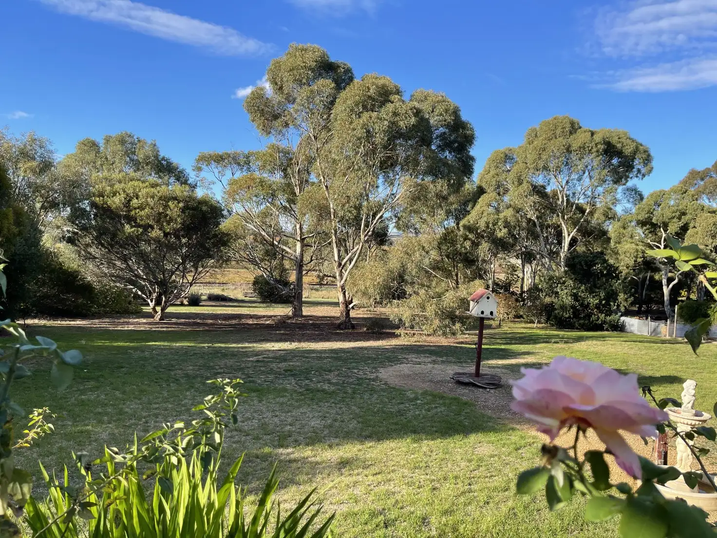 Main view of Homely house listing, 14 Meshach Burge Terrace, Lyndoch SA 5351