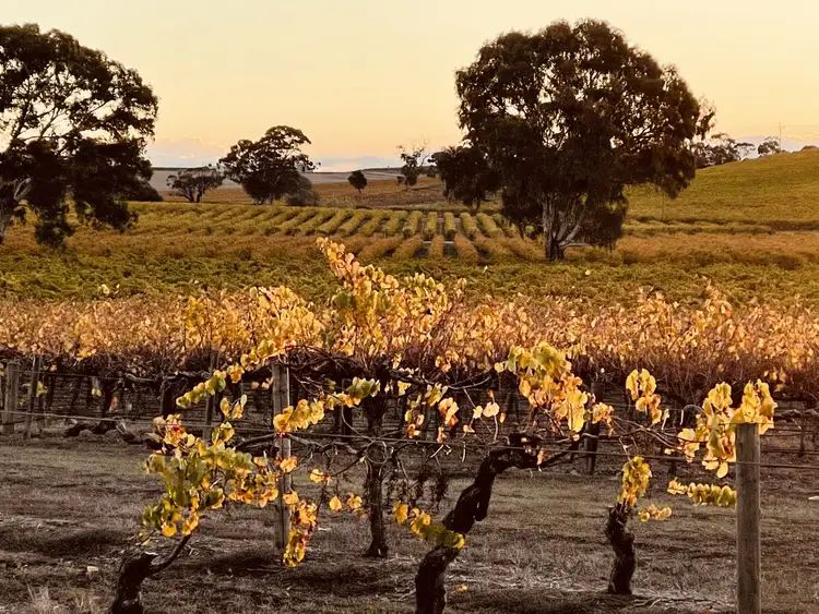 Third view of Homely house listing, 14 Meshach Burge Terrace, Lyndoch SA 5351