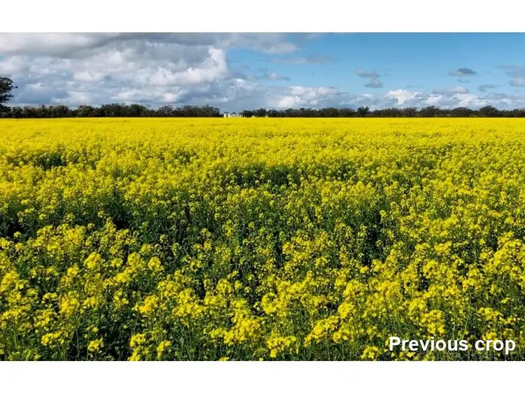 Third view of Homely rural property listing, . Road View, Narromine NSW 2821