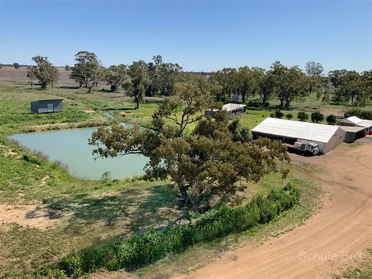 Fifth view of Homely rural property listing, . Road View, Narromine NSW 2821