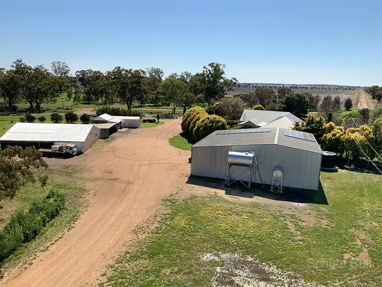 Sixth view of Homely rural property listing, . Road View, Narromine NSW 2821