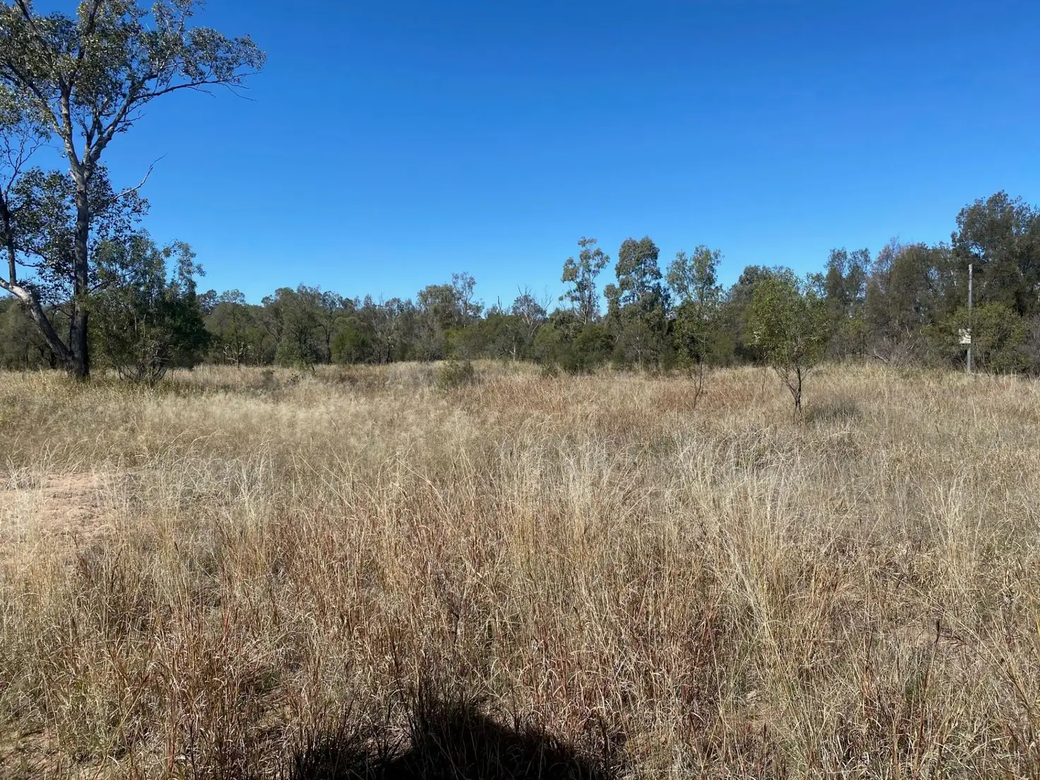 Main view of Homely land listing, Lots 4 & 5 Wilson St, Condamine QLD 4416