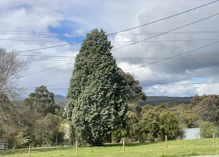 Fifth view of Homely house listing, 6 Brittain Street, Mount Pleasant VIC 3350