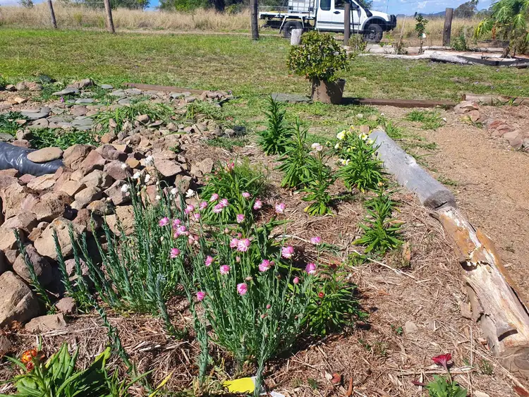 Fifth view of Homely land listing, Lot 20 Queen Street, Dallarnil QLD 4621