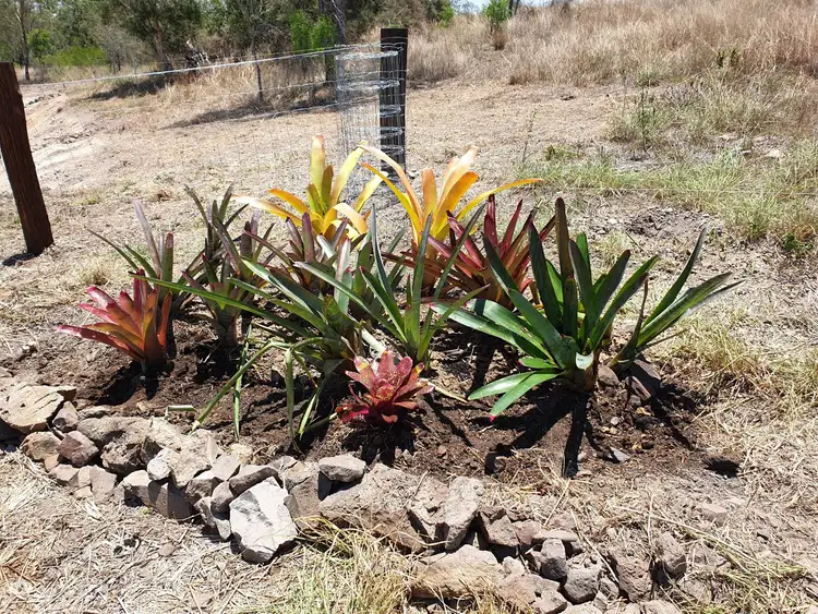 Sixth view of Homely land listing, Lot 20 Queen Street, Dallarnil QLD 4621