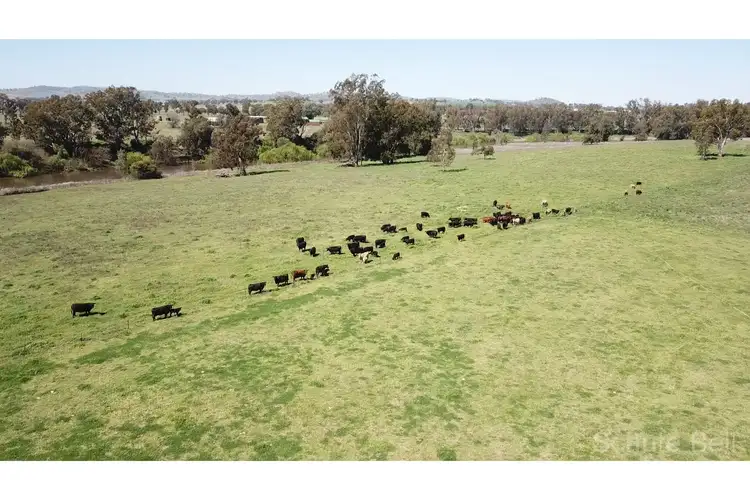 Third view of Homely rural property listing, . Baalbek, Wellington NSW 2820