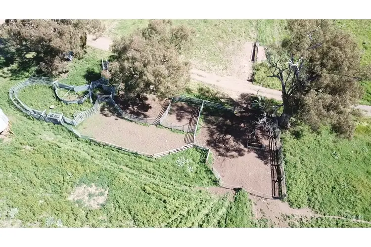 Fourth view of Homely rural property listing, . Baalbek, Wellington NSW 2820