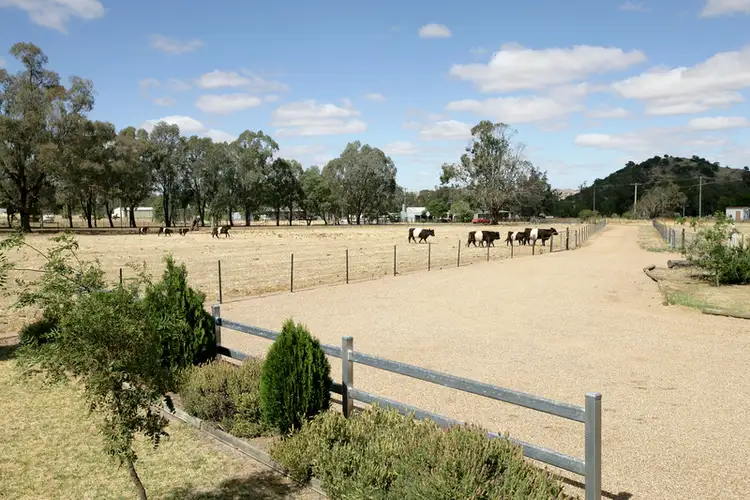 Sixth view of Homely house listing, 3521 Oura Road, Wantabadgery NSW 2650
