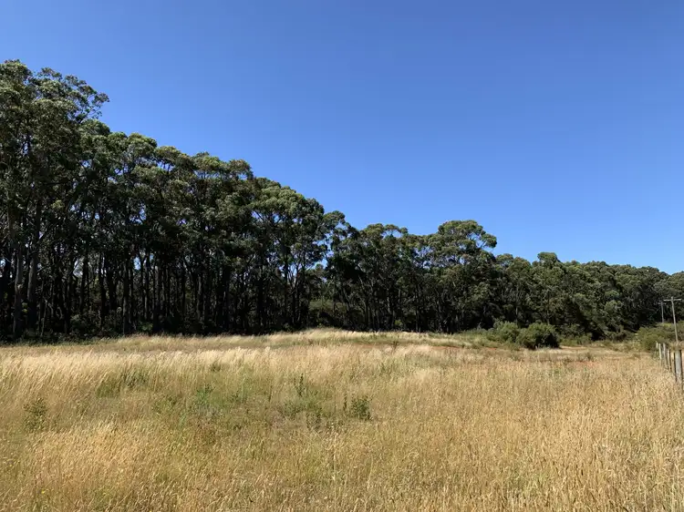 Second view of Homely land listing, 2001 Princetown Road, Princetown VIC 3269