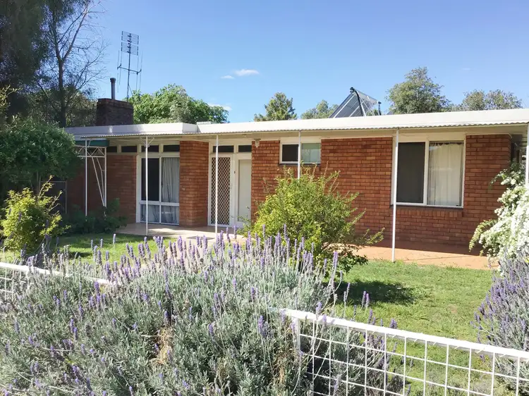 139 Temoin St, Narromine NSW 2821