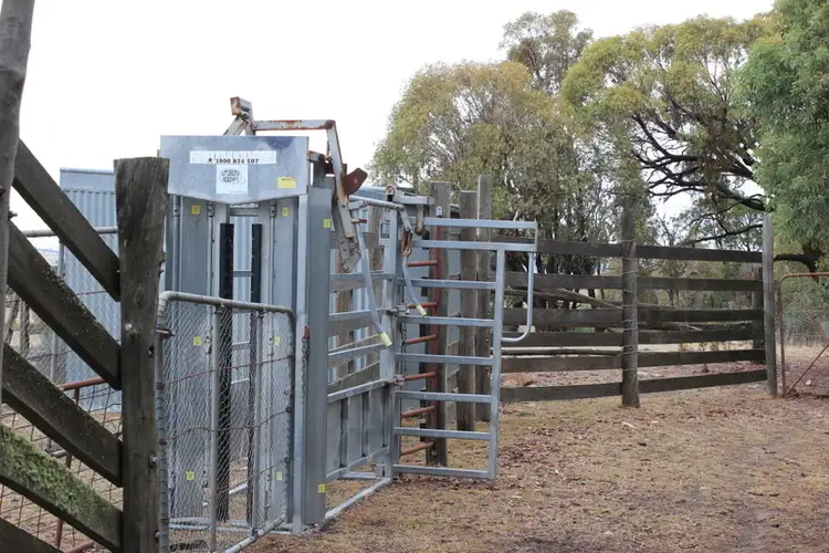 Seventh view of Homely house listing, 1570 Collector Rd, Currawang NSW 2580