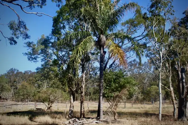 Main view of Homely land listing, 78-84 (Lot 9) Creek Road, Birkdale QLD 4159
