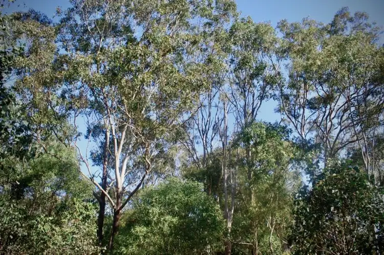 Sixth view of Homely land listing, 78-84 (Lot 9) Creek Road, Birkdale QLD 4159