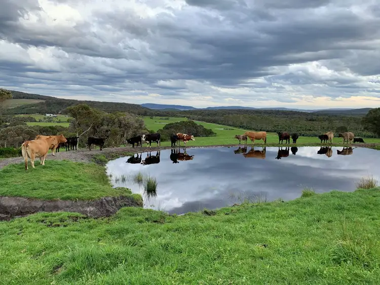 Lot 2 Mount Richard Road, Kalgan WA 6330