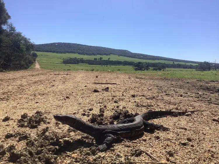 Sixth view of Homely rural property listing, Lot 2 Mount Richard Road, Kalgan WA 6330