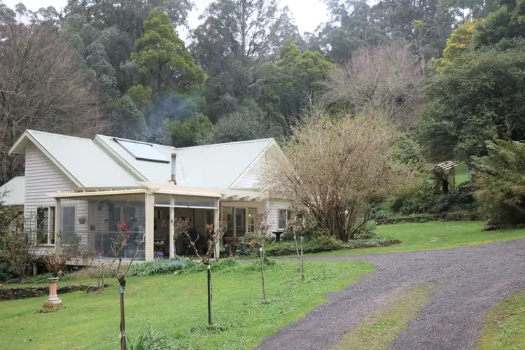 Main view of Homely house listing, 1/987 Myers Creek Road, Toolangi VIC 3777