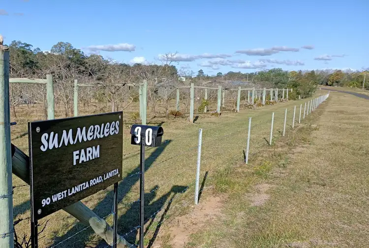Fourth view of Homely rural property listing, 90 West Lanitza Rd, Lanitza NSW 2460