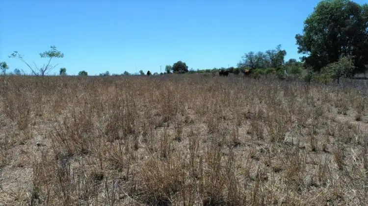 Fourth view of Homely rural property listing, 86 Alaire Drive, Theodore QLD 4719