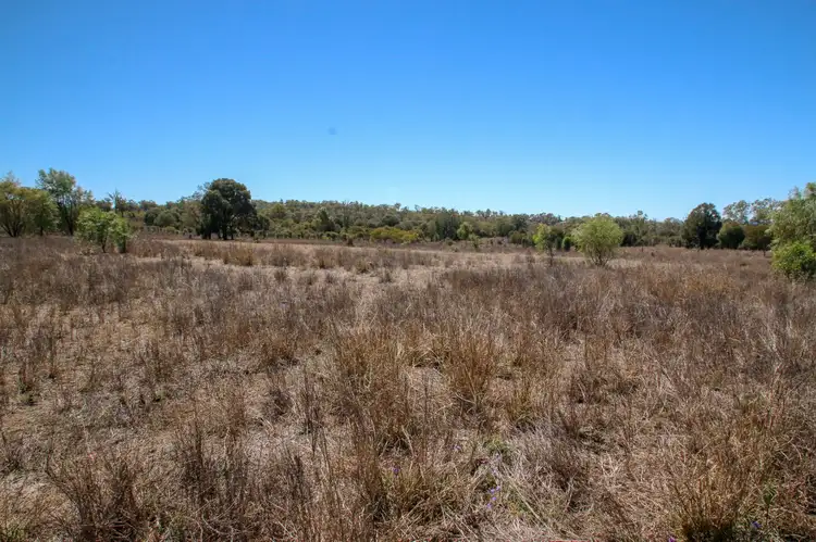Seventh view of Homely rural property listing, 86 Alaire Drive, Theodore QLD 4719