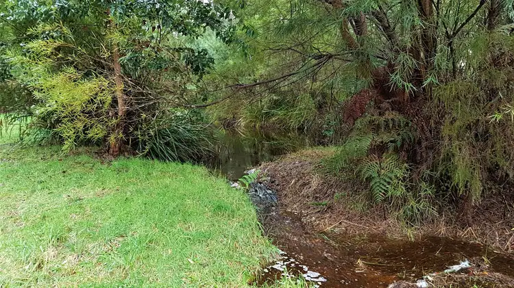 Fourth view of Homely rural property listing, 40 Woylie Road, Northcliffe WA 6262