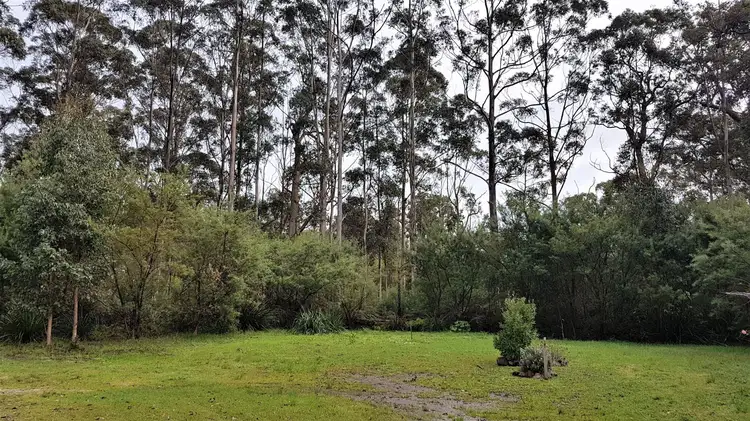 Seventh view of Homely rural property listing, 40 Woylie Road, Northcliffe WA 6262