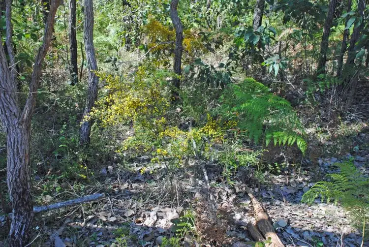 Fifth view of Homely house listing, 171 Karri Lane, Quinninup WA 6258