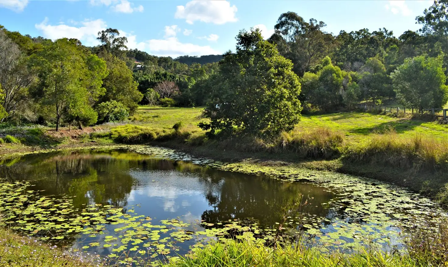 Main view of Homely land listing, Lot 2 41 Coorumbene Ct, Tallai QLD 4213