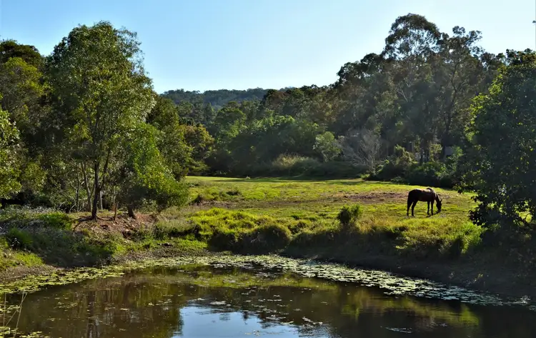 Fourth view of Homely land listing, Lot 2 41 Coorumbene Ct, Tallai QLD 4213