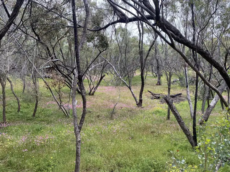 Sixth view of Homely land listing, 110 Horseshoe Road, Coondle WA 6566