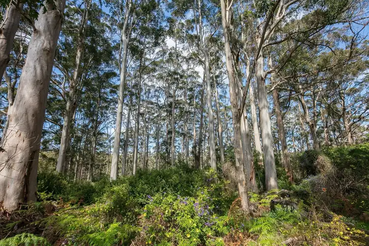 Sixth view of Homely rural property listing, 32 Silver Road, Denmark WA 6333