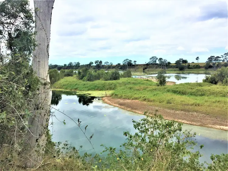 Fourth view of Homely rural property listing, 1555 Gin Gin Road, Sharon QLD 4670