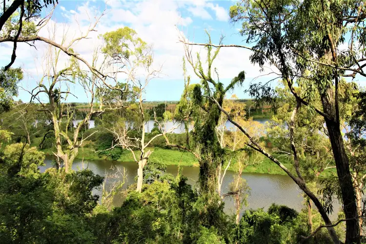 Sixth view of Homely rural property listing, 1555 Gin Gin Road, Sharon QLD 4670