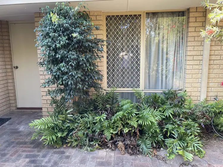 Second view of Homely villa listing, 1/7 Barker Avenue, Balcatta WA 6021