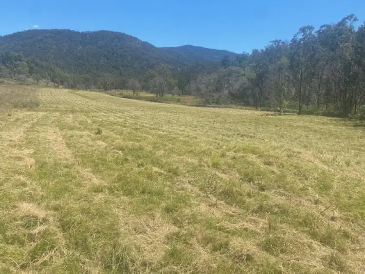Second view of Homely rural property listing, 451 Cockerawombeeba Road, Forbes River NSW 2446
