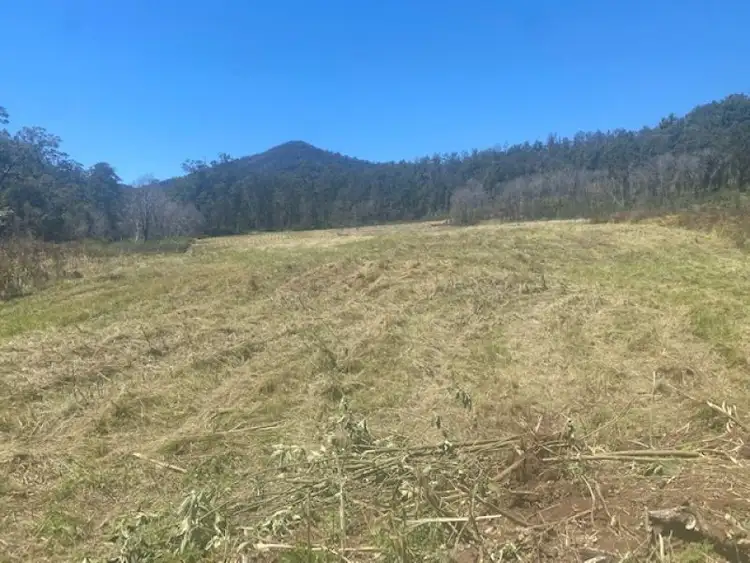 Fifth view of Homely rural property listing, 451 Cockerawombeeba Road, Forbes River NSW 2446