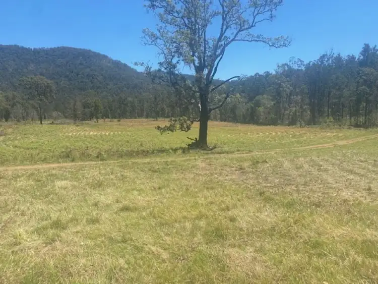 Sixth view of Homely rural property listing, 451 Cockerawombeeba Road, Forbes River NSW 2446