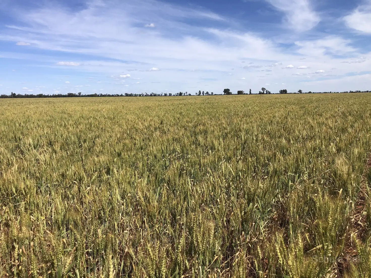 Main view of Homely rural property listing, Address available on request