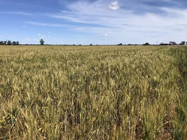 Fifth view of Homely rural property listing, Address available on request