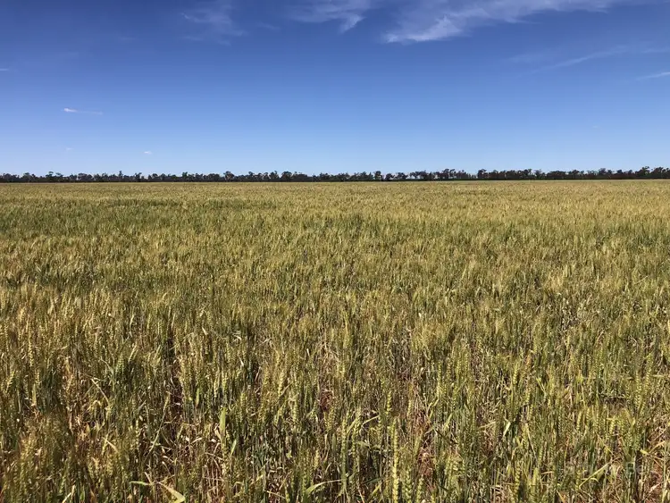 Sixth view of Homely rural property listing, Address available on request