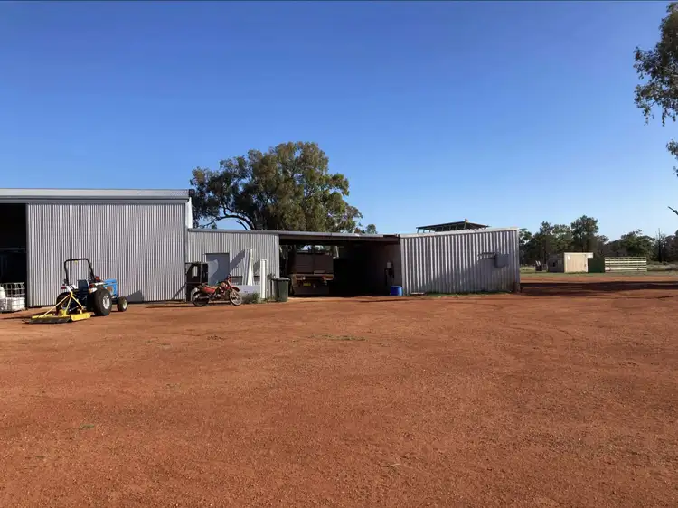 Sixth view of Homely rural property listing, 129 Arthur Hall VC Way, Coolabah NSW 2831