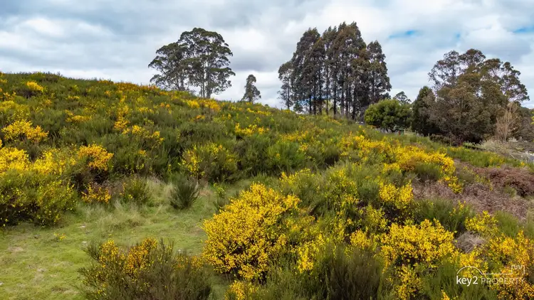 Sixth view of Homely rural property listing, Pearce Street, Branxholm TAS 7261