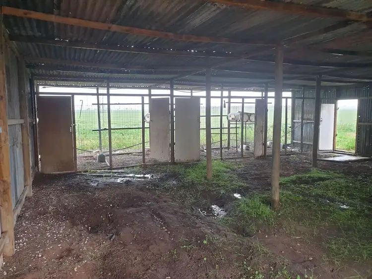 Seventh view of Homely rural property listing, 5828 Western Highway, Kiata VIC 3418