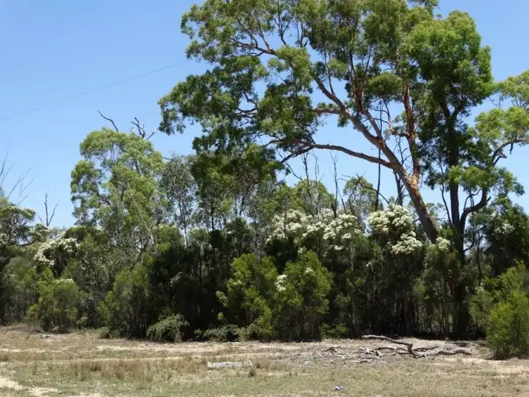 Third view of Homely rural property listing, Lot 15 Mary Road, Wieambilla QLD 4413